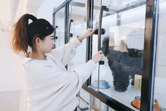 宠物美容专业怎么样？多渠道+好待遇，萌宠经济下的好选择！