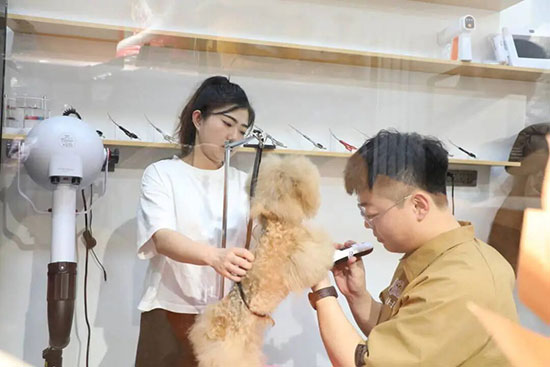 宠物美容专业怎么样？多渠道+好待遇，萌宠经济下的好选择！